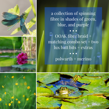 Load image into Gallery viewer, DRAGONFLY | mystery fibre box