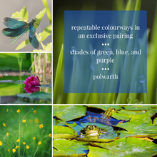 Load image into Gallery viewer, DRAGONFLY | mystery combo pack