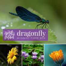 Load image into Gallery viewer, DRAGONFLY | mystery fibre box
